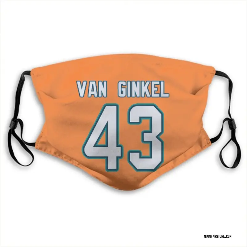 Youth Andrew Van Ginkel Miami Dolphins No.43 Legend Color Rush Jersey -  Orange